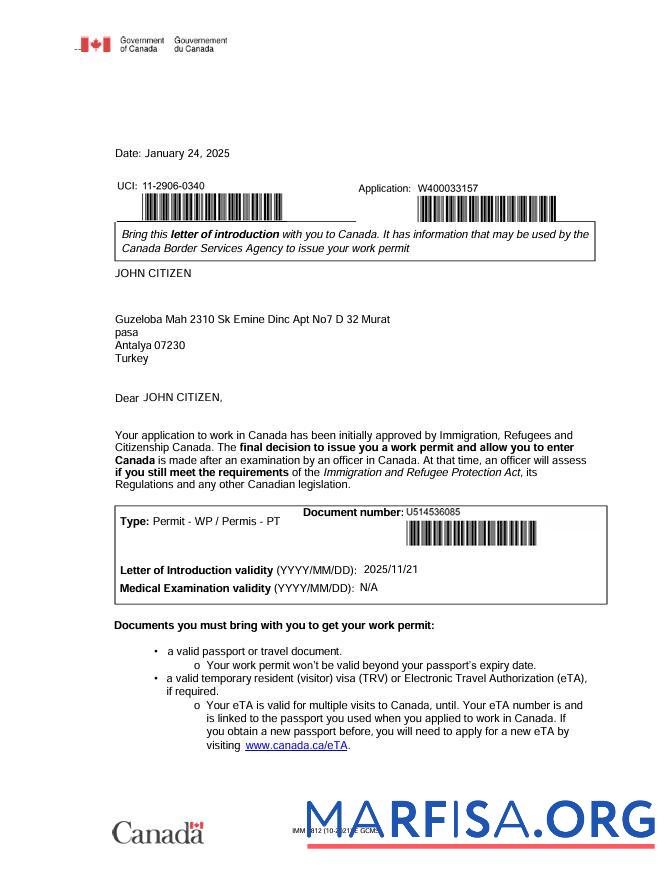 Downloadable Canada e visa template in Word and Pdf formats
